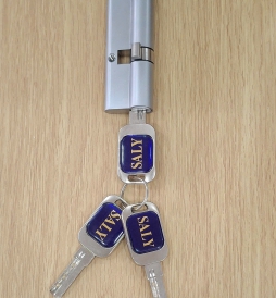 Lõi khóa 2 đầu chìa SALY (48+33)