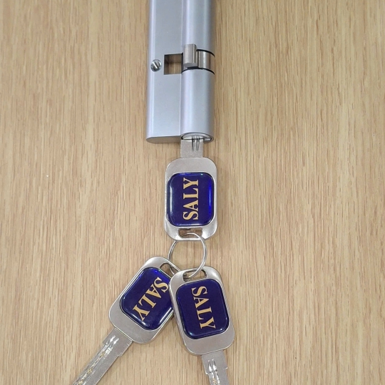 Lõi khóa 2 đầu chìa SALY (48+33)